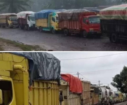 IMG_20251207_141533_106_copy_498x521