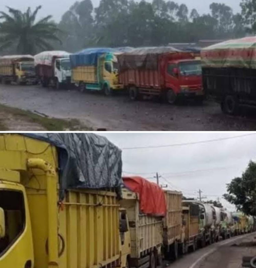 IMG_20251207_141533_106_copy_498x521