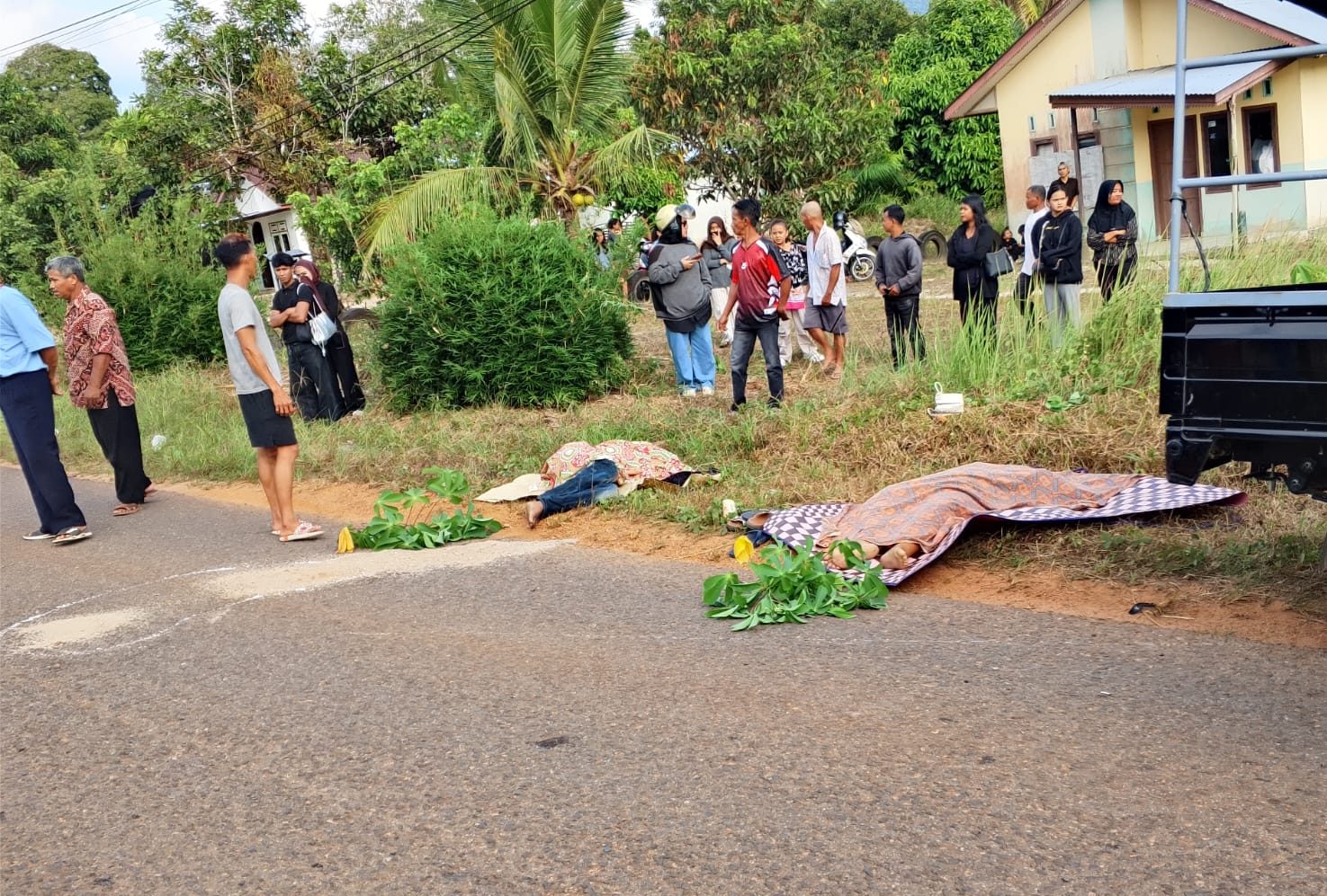 WhatsApp Image 2026-03-25 at 12.54.32